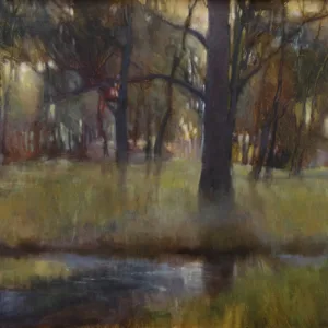 Through Evening Woods by Bob Watkins