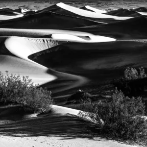 Death Valley 1, CA by Jay Kaplan