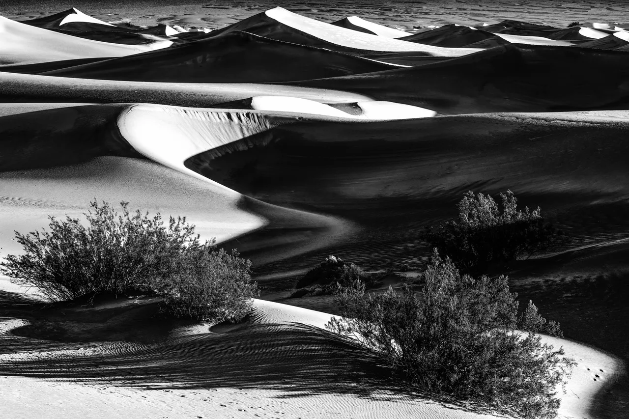 Death Valley 1, CA by Jay Kaplan