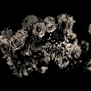 Dutch Flowers by Rachel Portesi