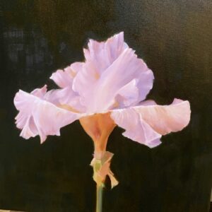 Barbara's Iris by Bob Watkins