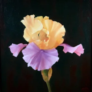 Iris #2 by Bob Watkins