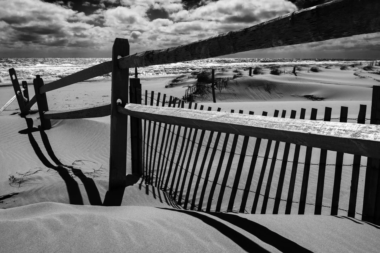 Island Beach, NJ by Jay Kaplan