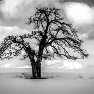 Litchfield County, CT by Jay Kaplan