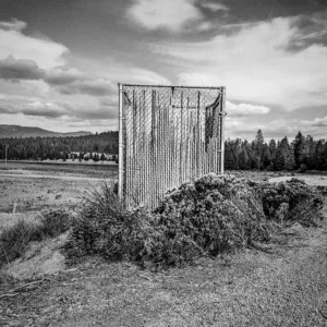 Picket Meadow, California, 2003, by Alistair Dunn