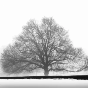 Salisbury, CT by Jay Kaplan