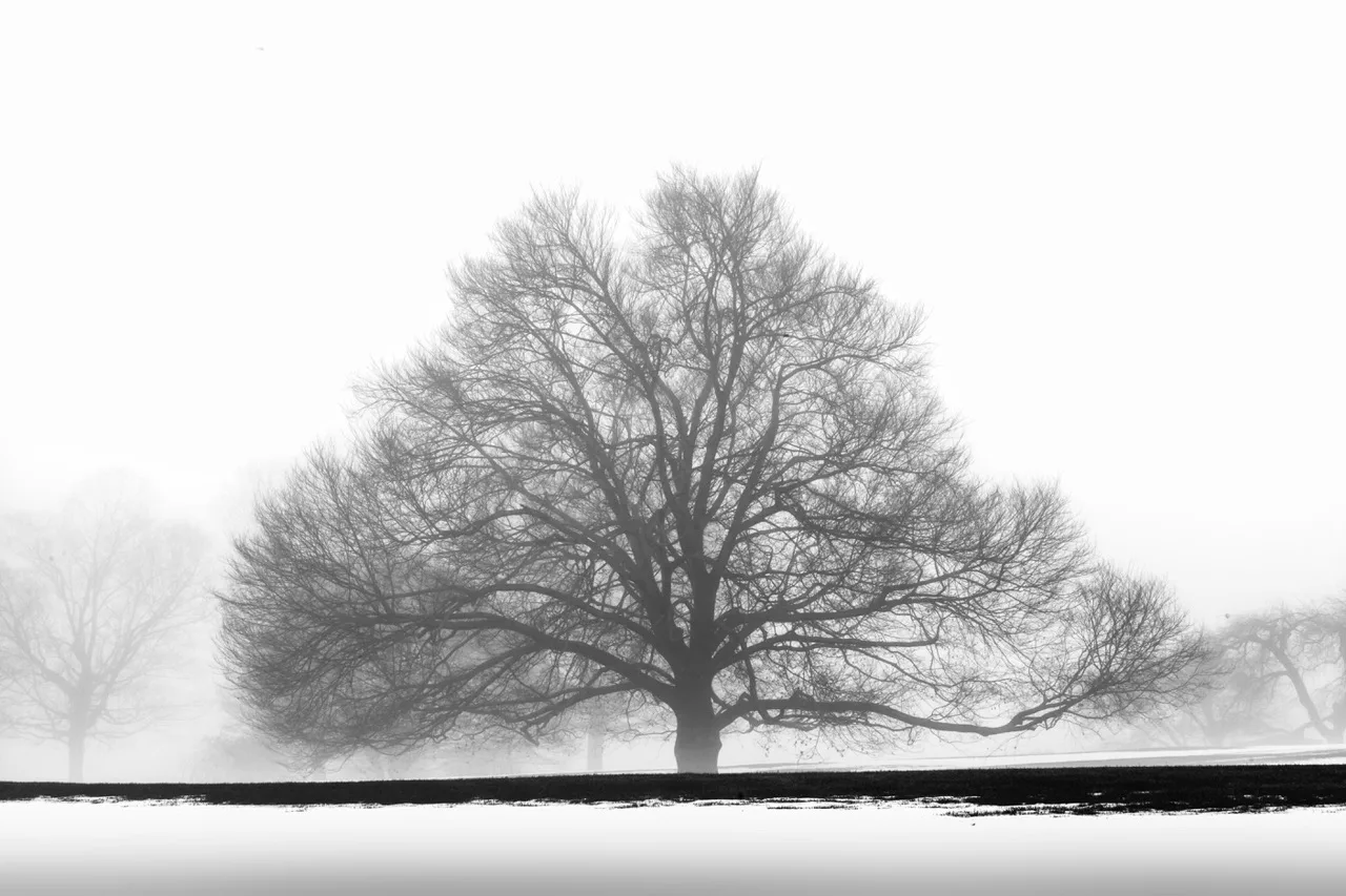 Salisbury, CT by Jay Kaplan
