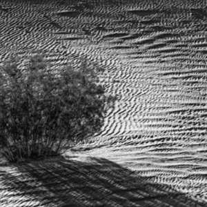 Death Valley 2 by Jay Kaplan