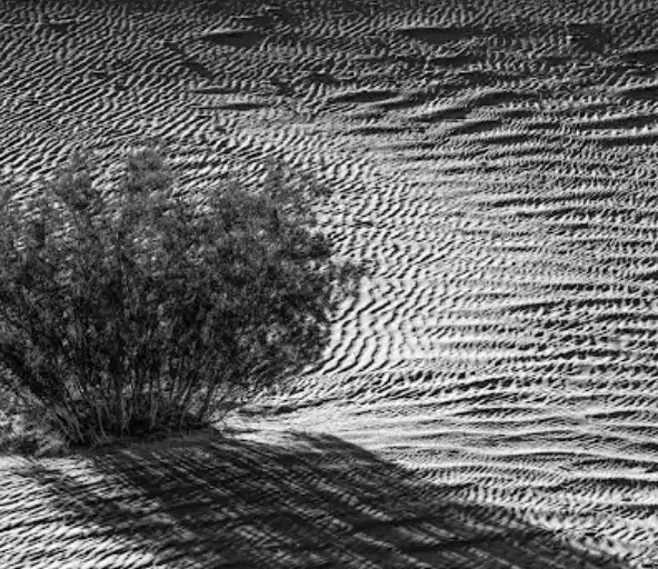 Death Valley 2 by Jay Kaplan