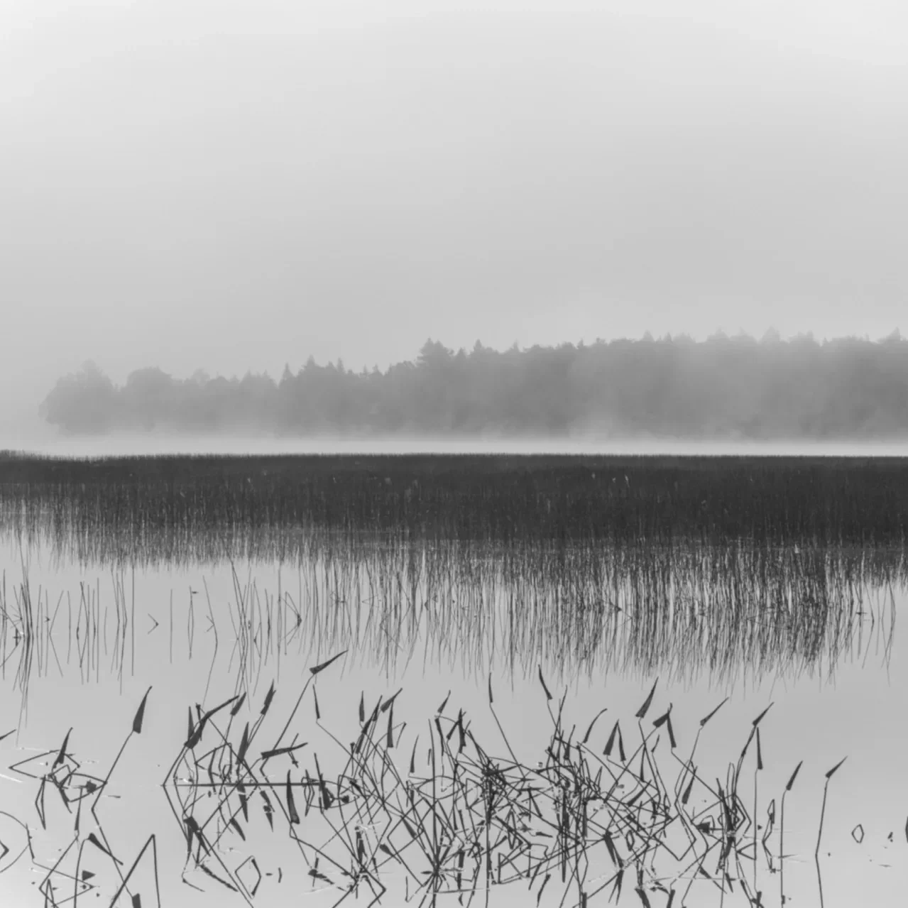 Screenshot-2025-01-09-at-2.48.57 PM